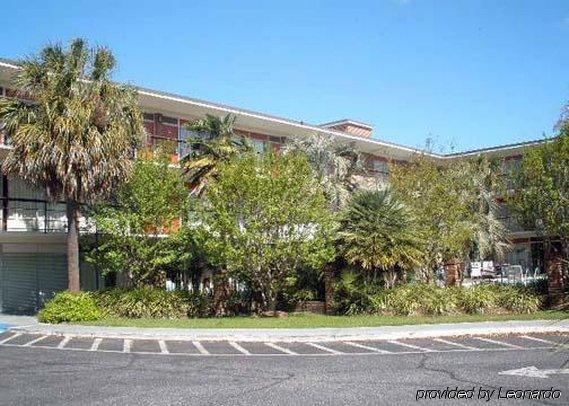 Oyo Sc Downtown 2* Sumter