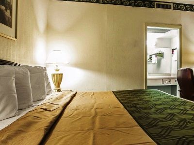 Hotel Oyo Sc Downtown Sumter
